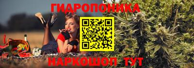 винт Новозыбков