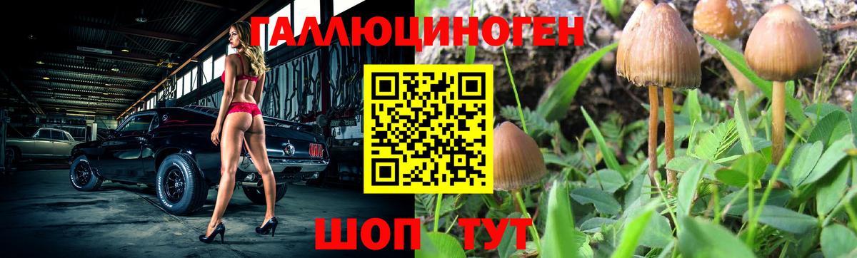 Псилоцибиновые грибы Magic Shrooms  Галлюциногенные грибы мицелий  Вход с VPN  Тамбов 